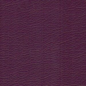 Planmeca Ultra Purple 9333